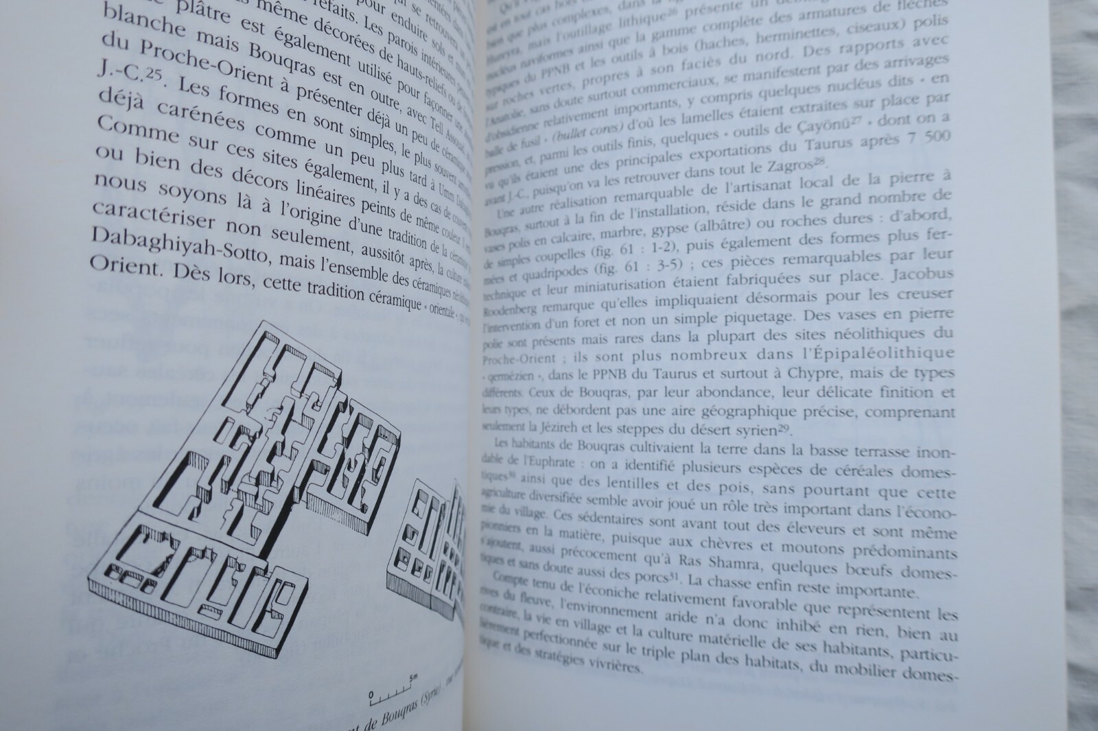 Divinities and Agriculture Evolution - Image 3
