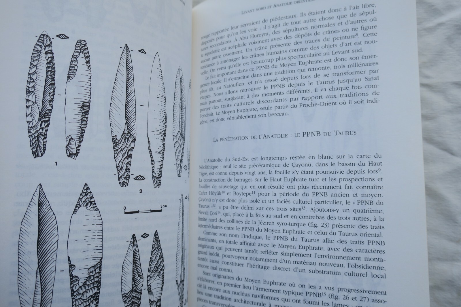 Divinities and Agriculture Evolution - Image 6