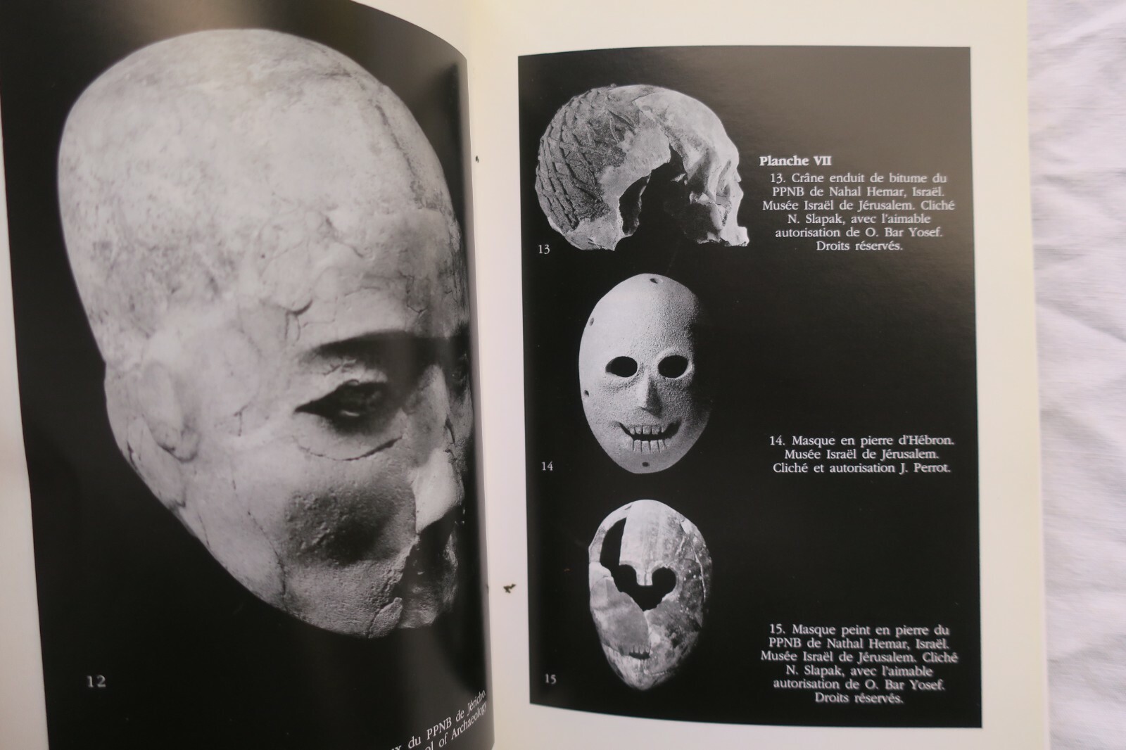 Divinities and Agriculture Evolution - Image 4
