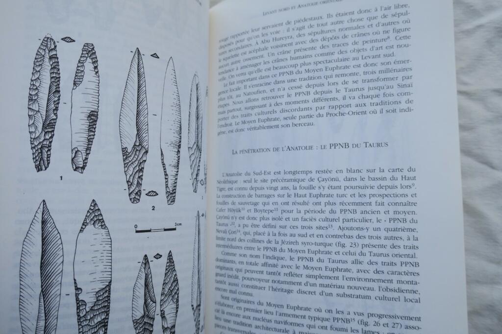 Birth of Divinities, Birth of Agriculture