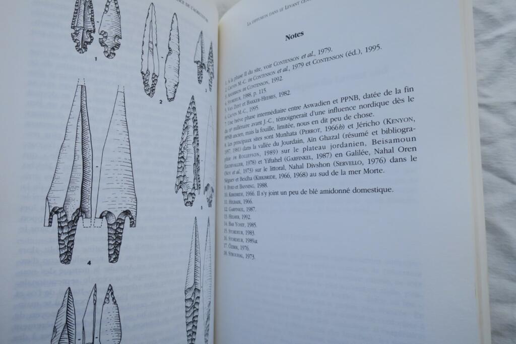 Birth of Deities and Agriculture: Neolithic Symbol Revolution