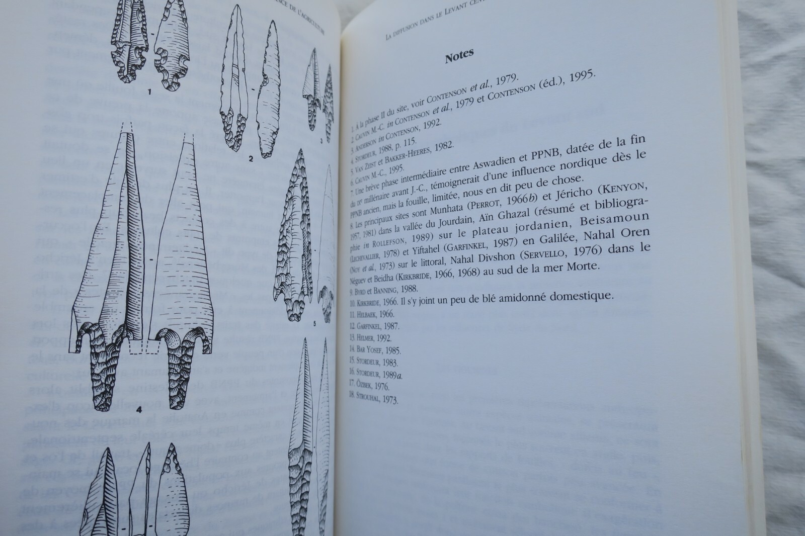 Divinities and Agriculture Evolution - Image 5
