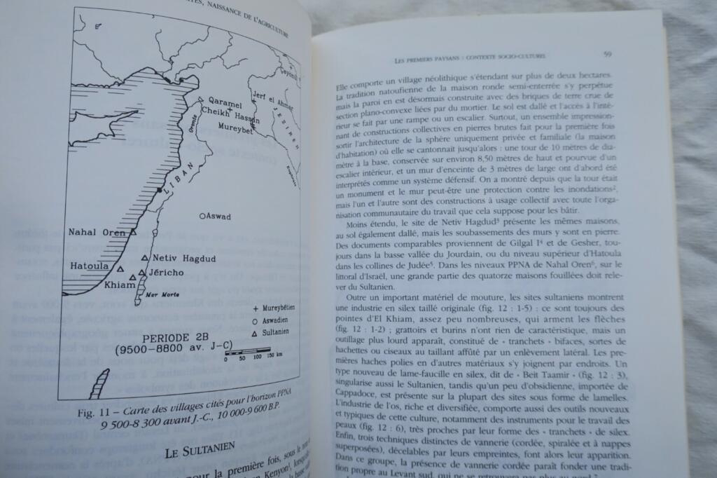 Birth of Divinities, Birth of Agriculture