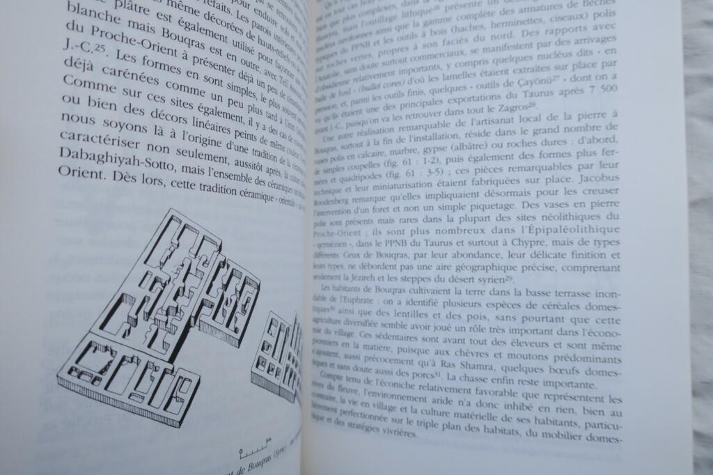 Birth of Divinities, Birth of Agriculture
