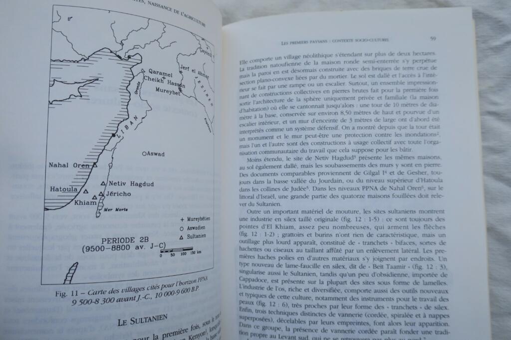 Birth of Deities and Agriculture: Neolithic Symbol Revolution