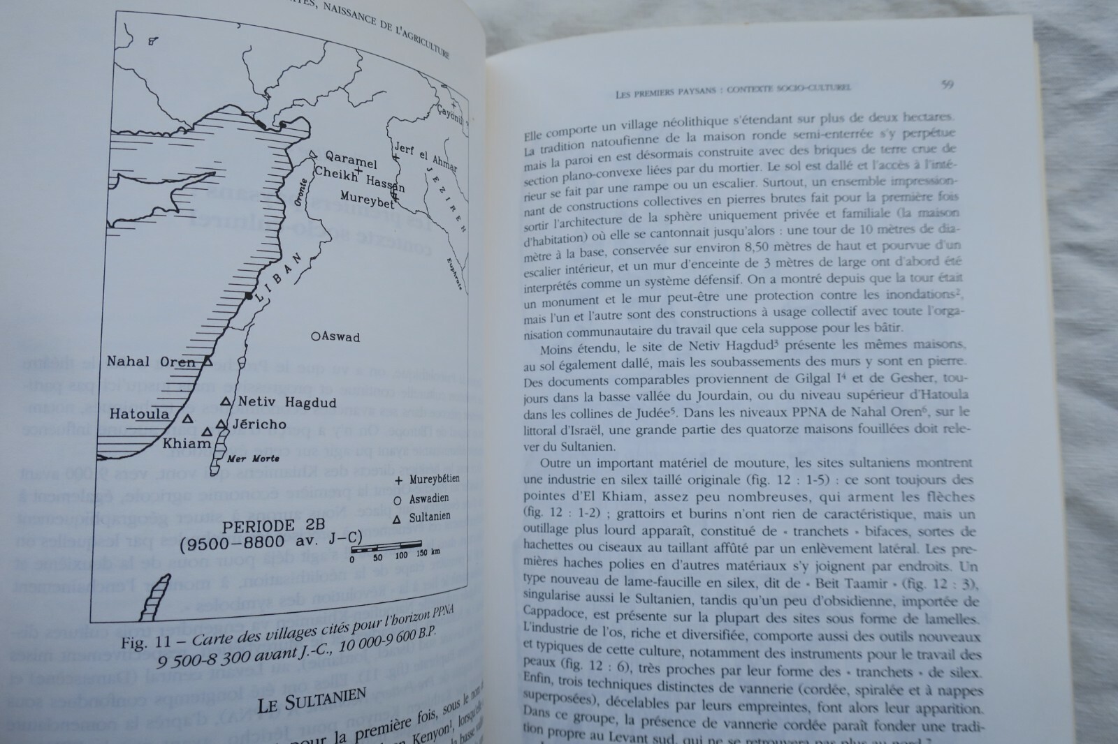 Divinities and Agriculture Evolution - Image 7
