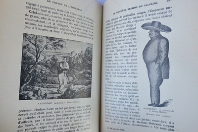 Insights into Napoleon's Health