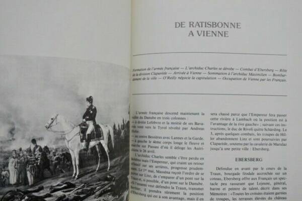 Campaign analysis of Napoleon's 1809 conflict