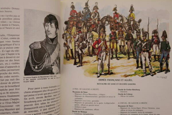 Campaign analysis of Napoleon's 1809 conflict