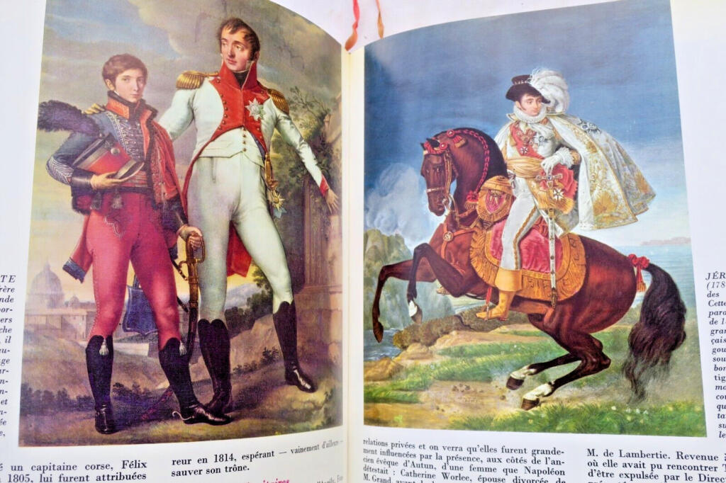 Napoleon und das Empire: Umfassende Geschichtsstudie