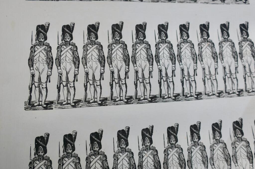 Napoleon's Imperial Guard