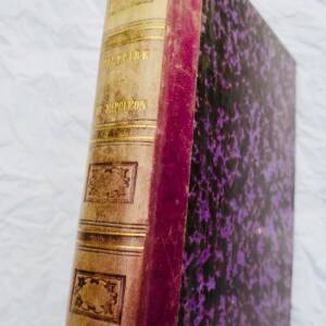 Napoleon Leynadier History Of Napoleon 1866