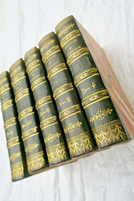 Napoleon and the Grande Armée: Popular History