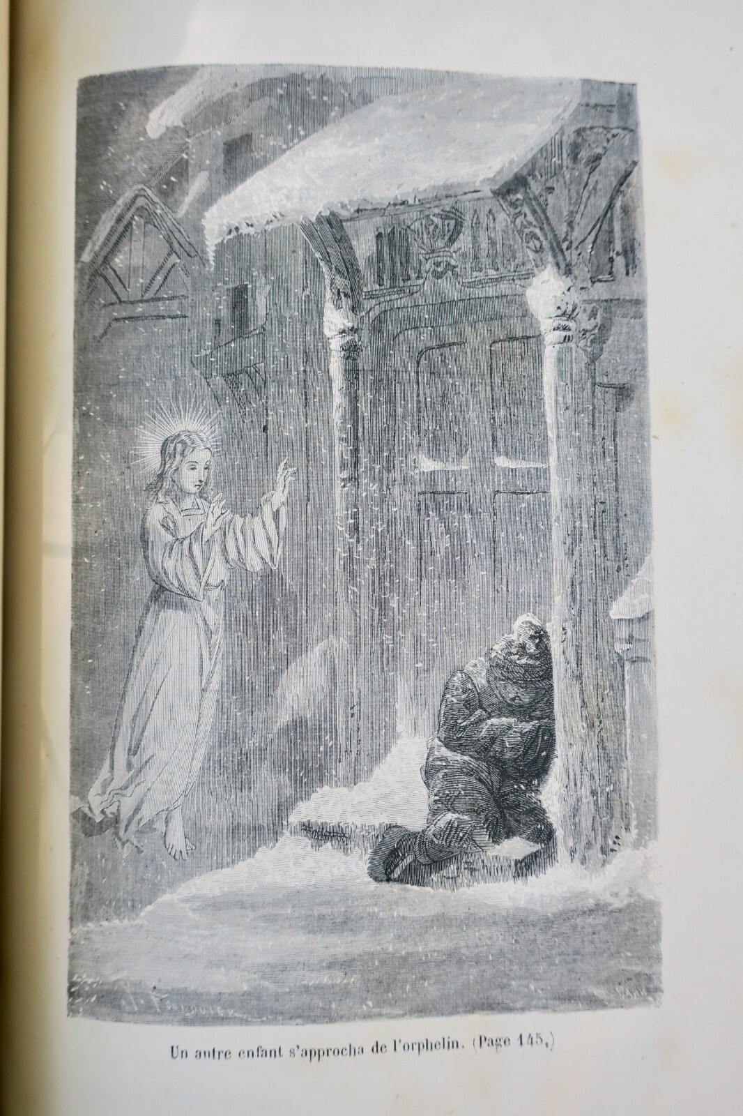 Discussions and Tales on Natural History - Image 7