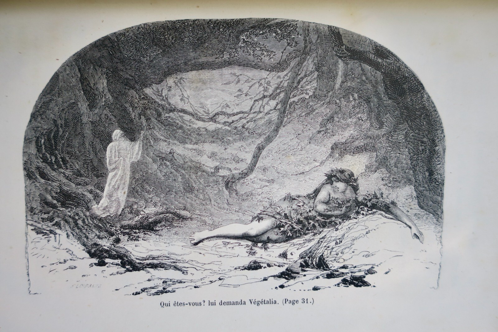 Discussions and Tales on Natural History - Image 9