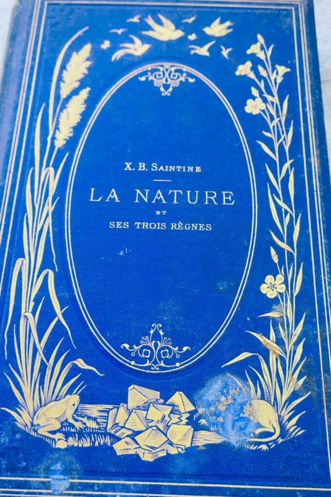 Nature's Three Kingdoms: Natural History Tales