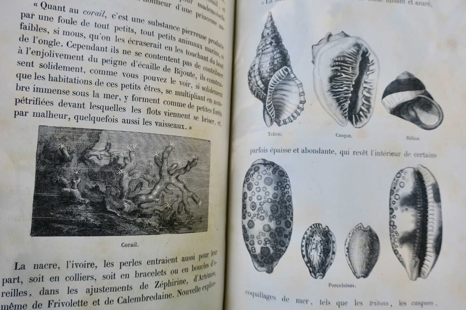 Discussions and Tales on Natural History - Image 5