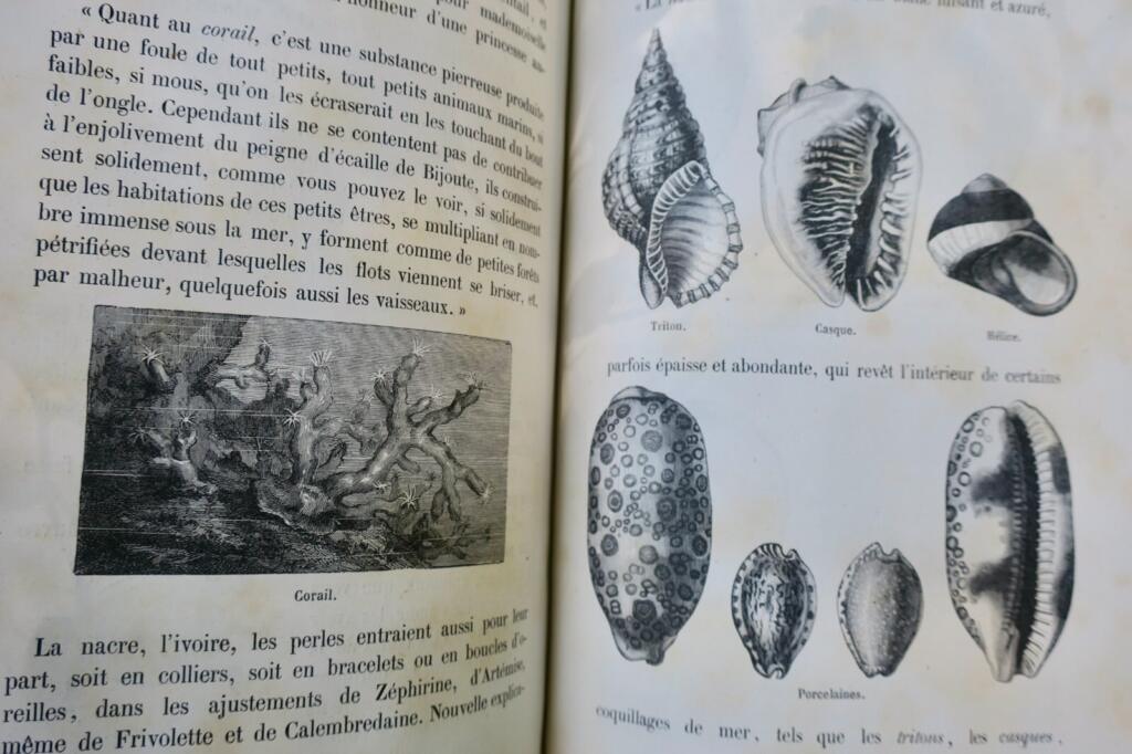 Nature's Three Kingdoms: Natural History Tales