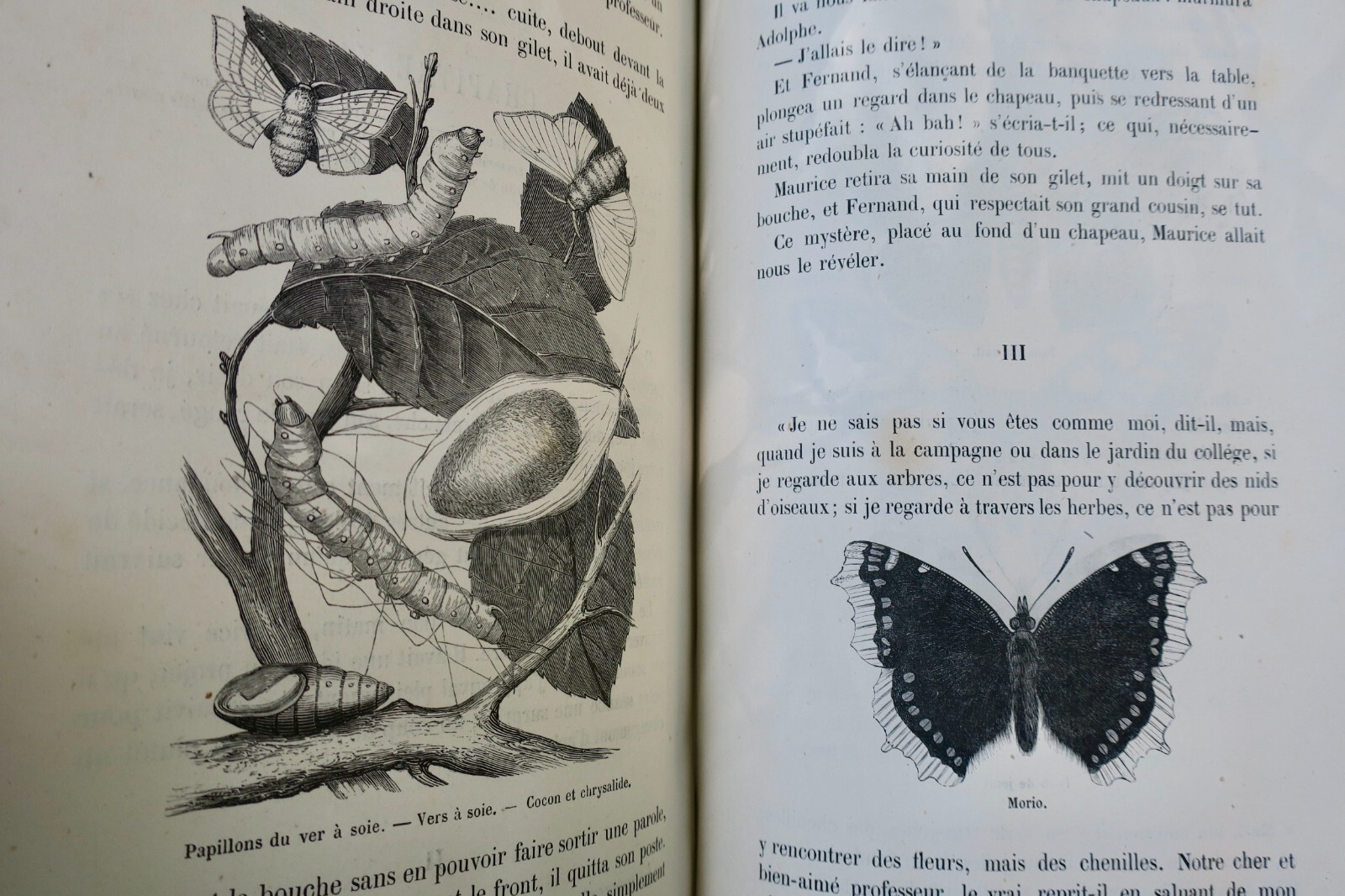 Discussions and Tales on Natural History - Image 4