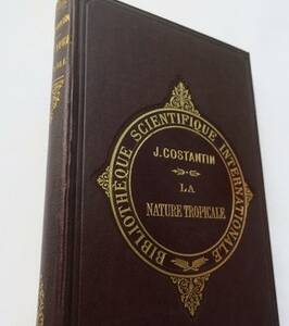 nature tropicale 1899