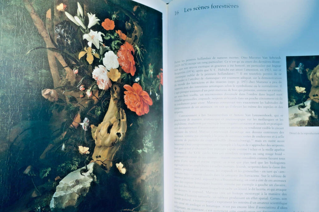 natures mortes Taschen, 1999