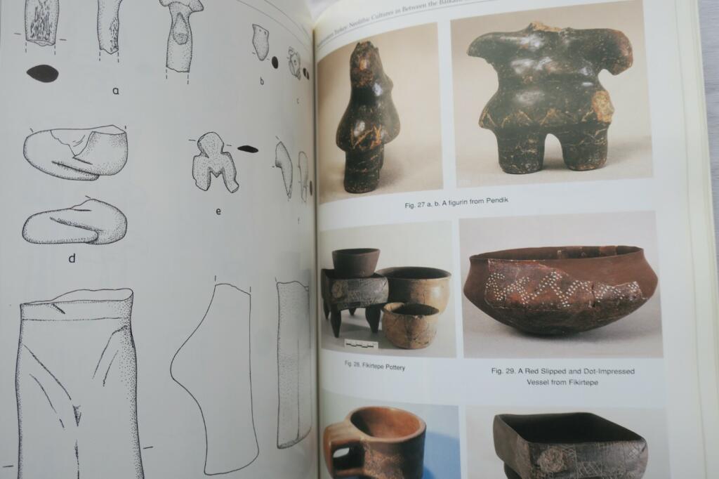 Neolithic in Turkey: The cradle of civilization
