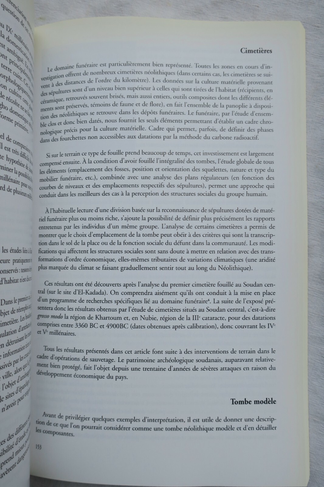 Neolithischer Seminarband - Image 4
