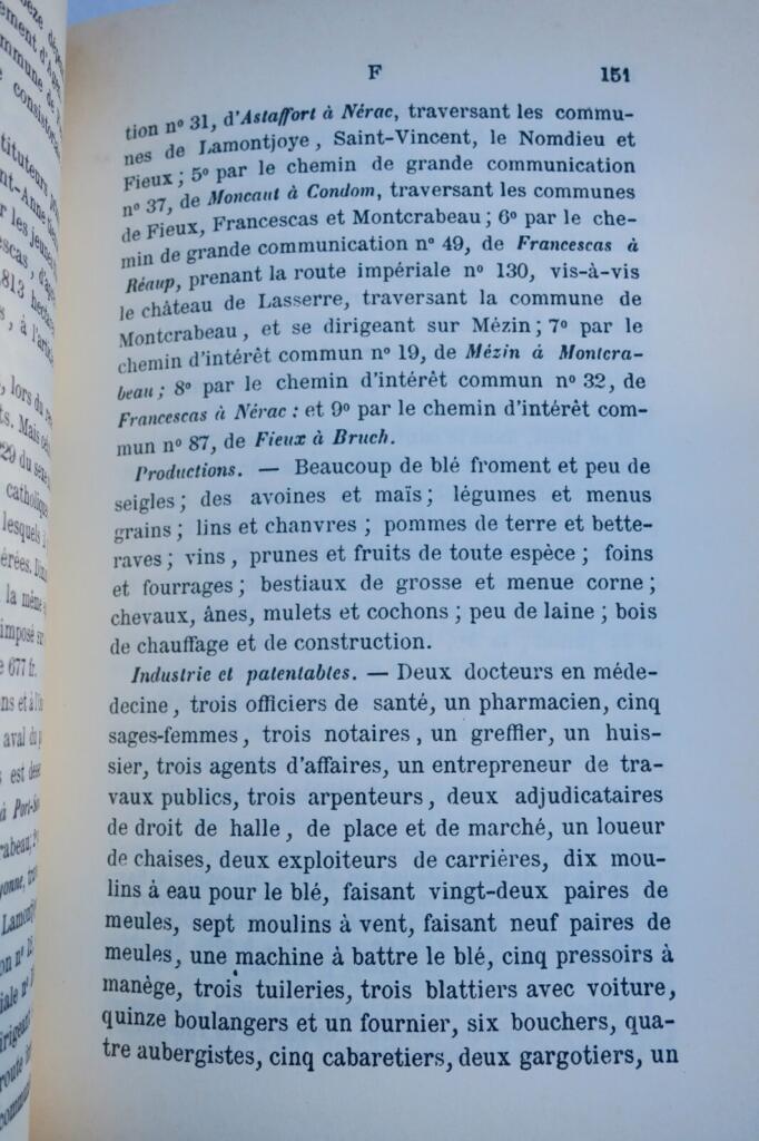 Geographic, historical and archaeological dictionary of Nérac district