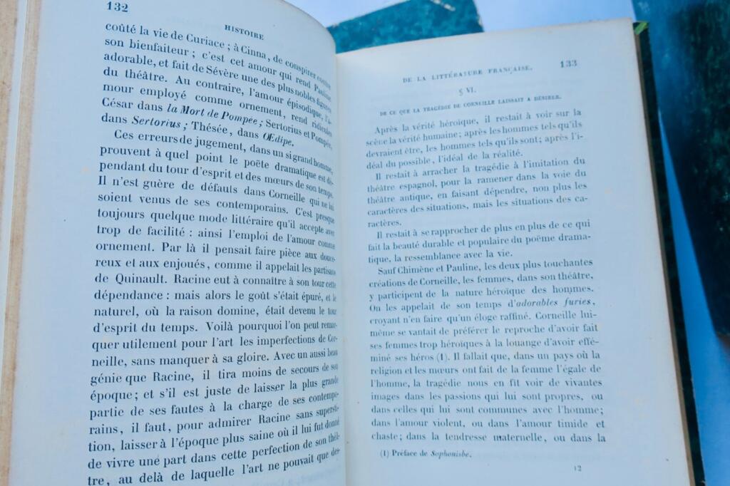 French Literature History Survey