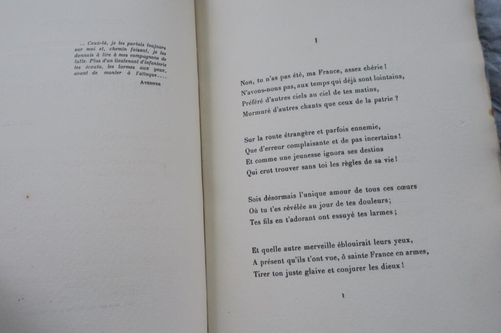 WWI Patriotic Essays and Memories