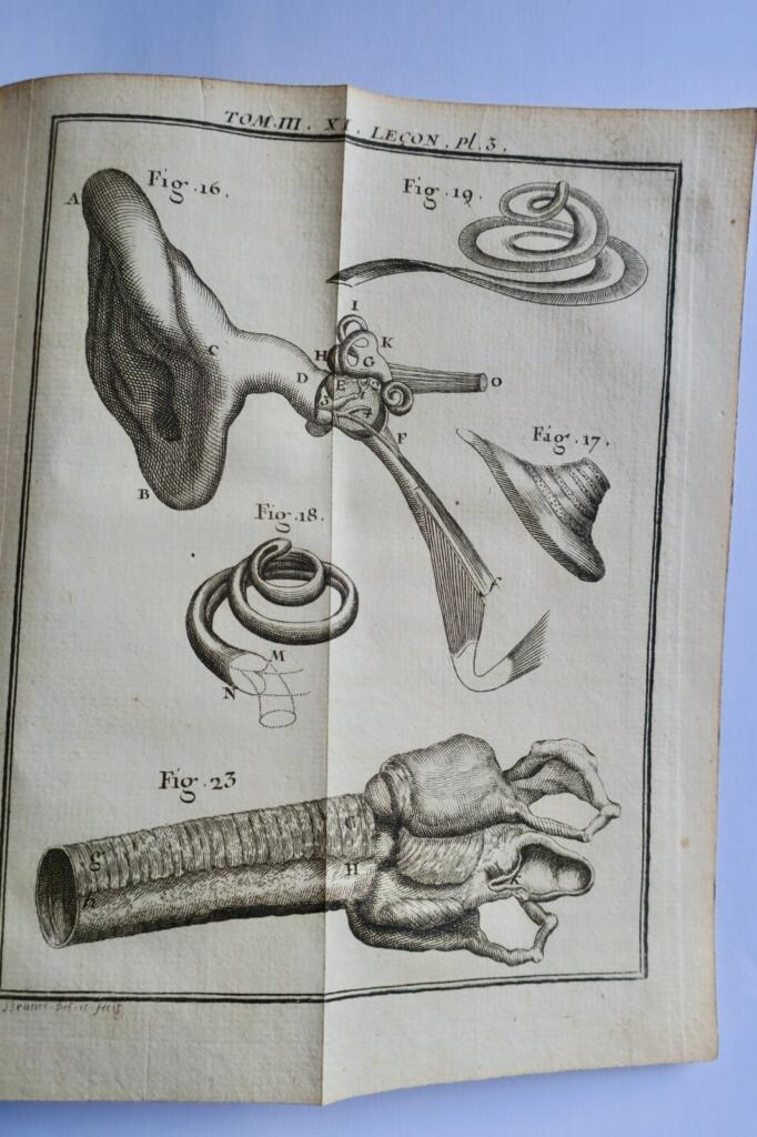 Experimentalphysik Lektionen