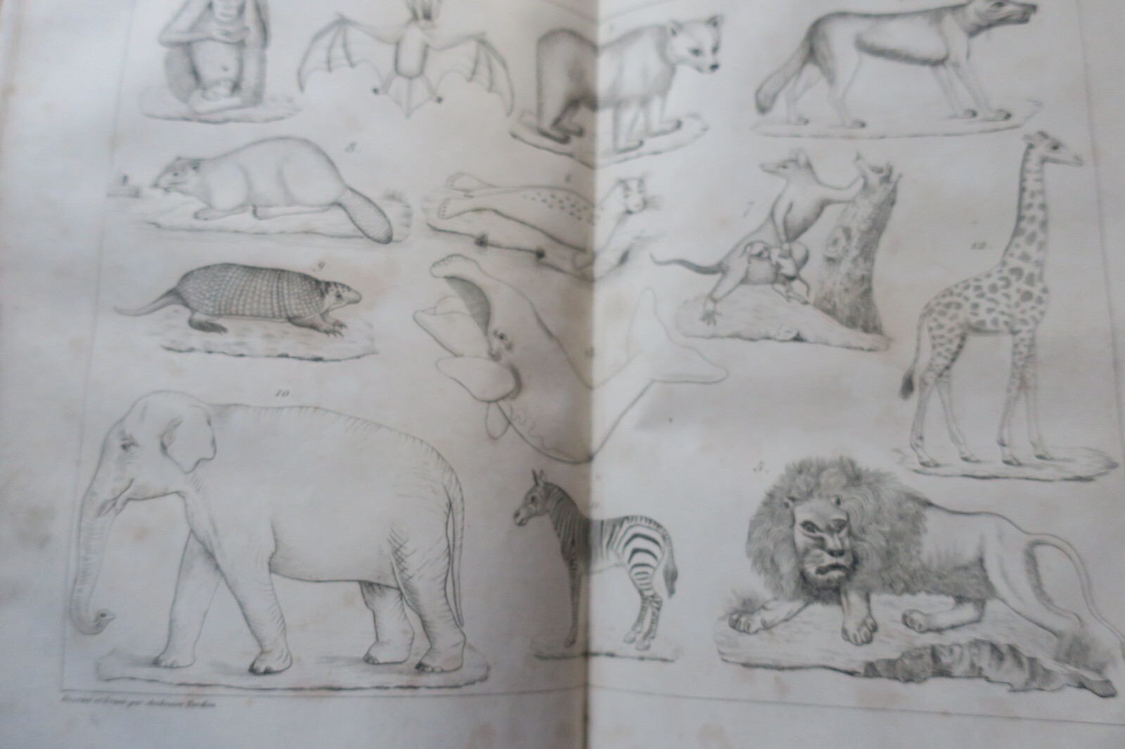 Physics, Chemistry & Natural History Principles - Image 5