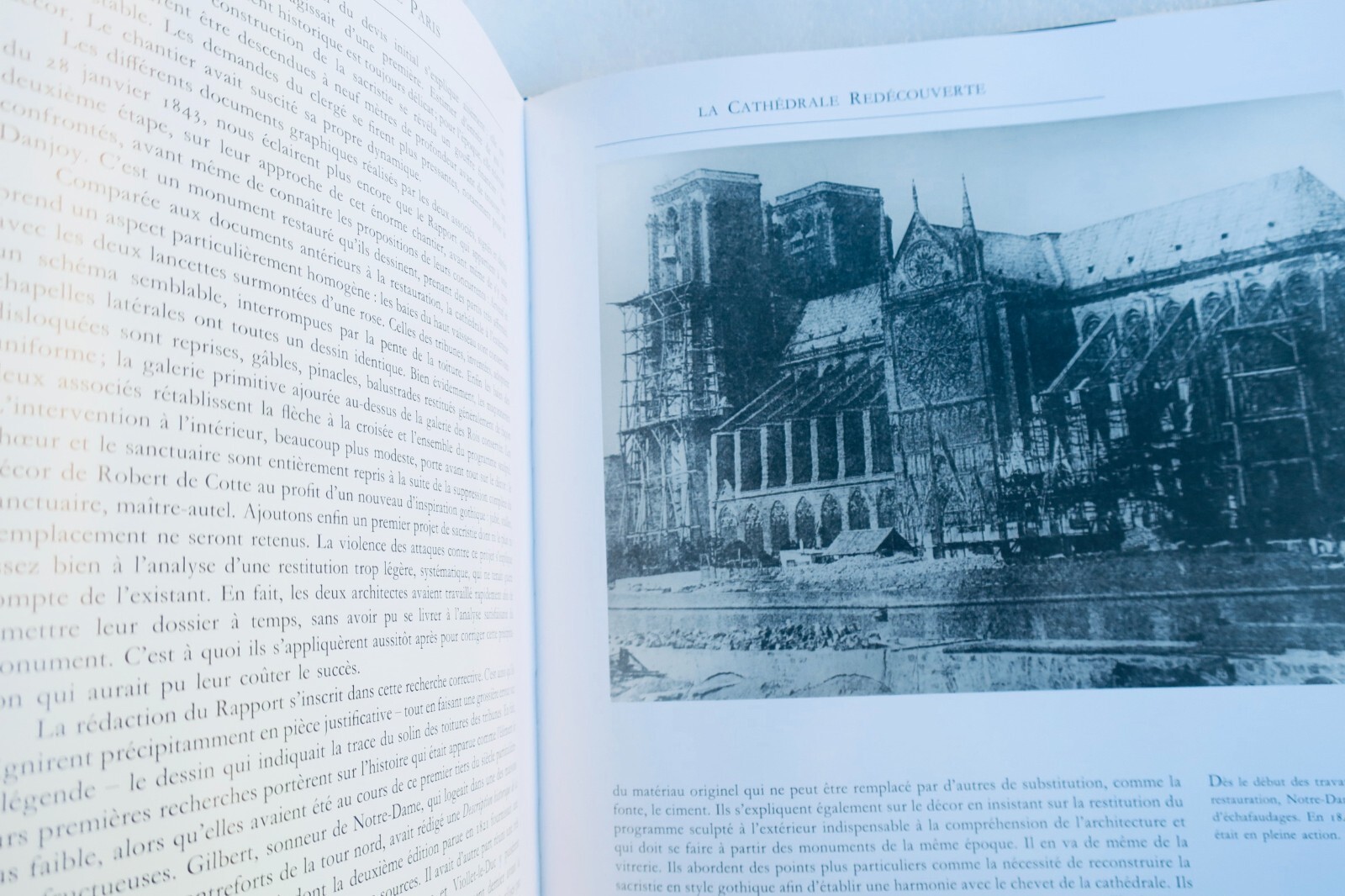 Stunning photographic tribute to Notre-Dame - Image 3