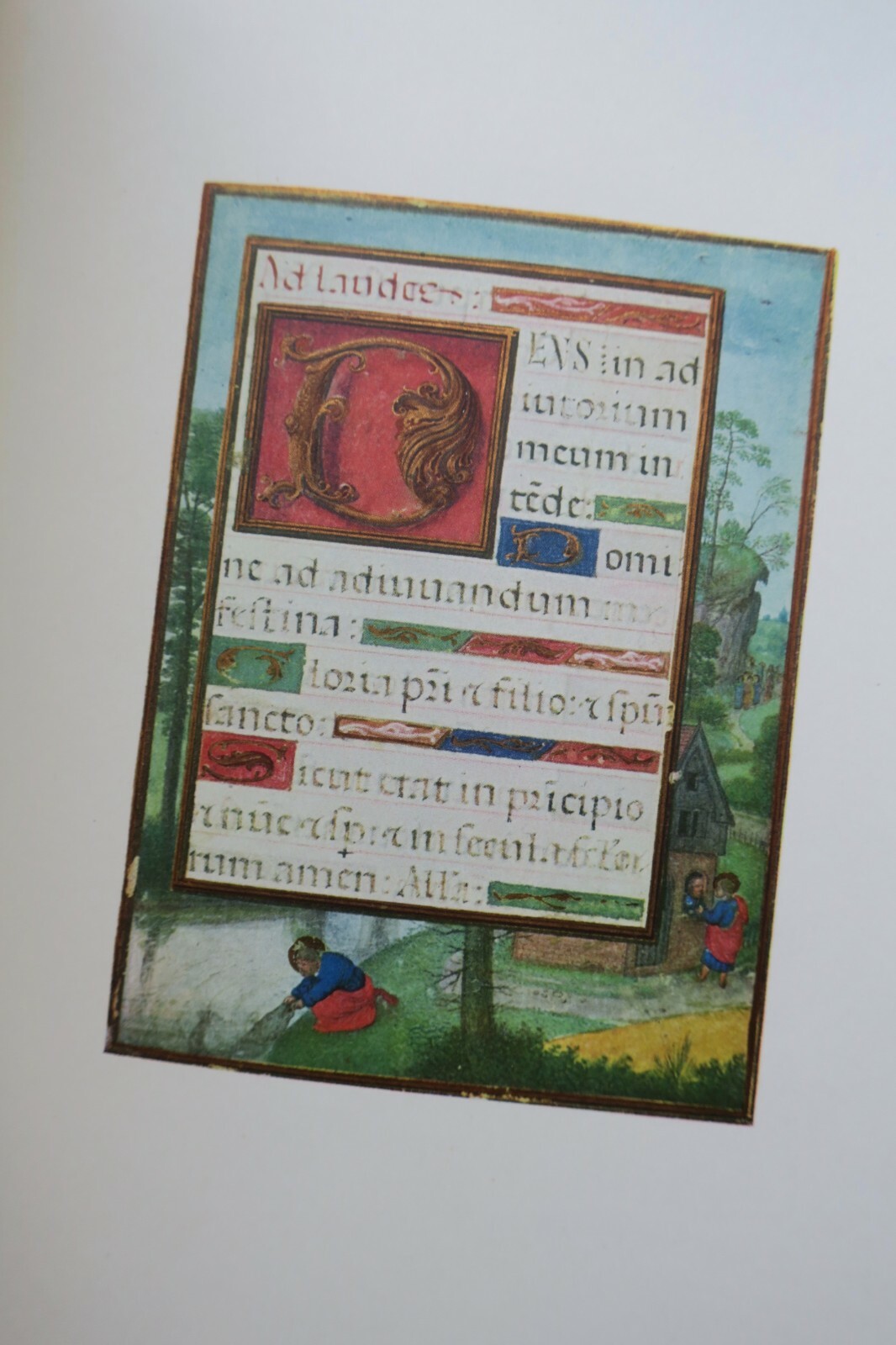 A study on Notre Dame's history - Image 10