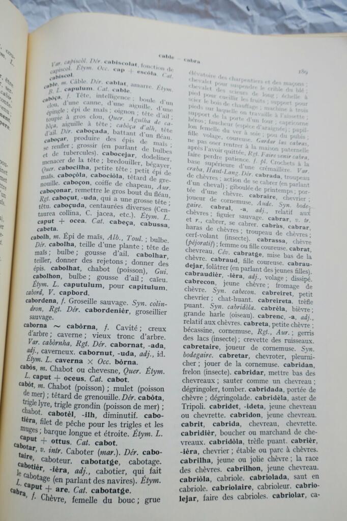 Occitan-French Dictionary by dialect