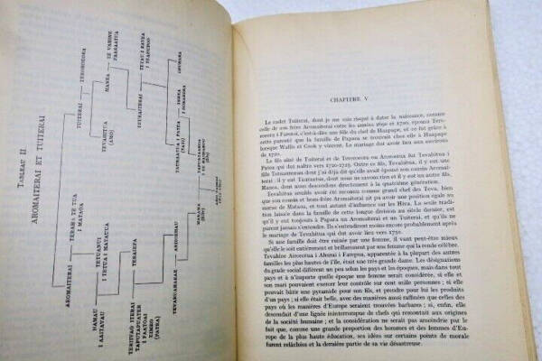 Memoiren einer tahitianischen Häuptlingstochter