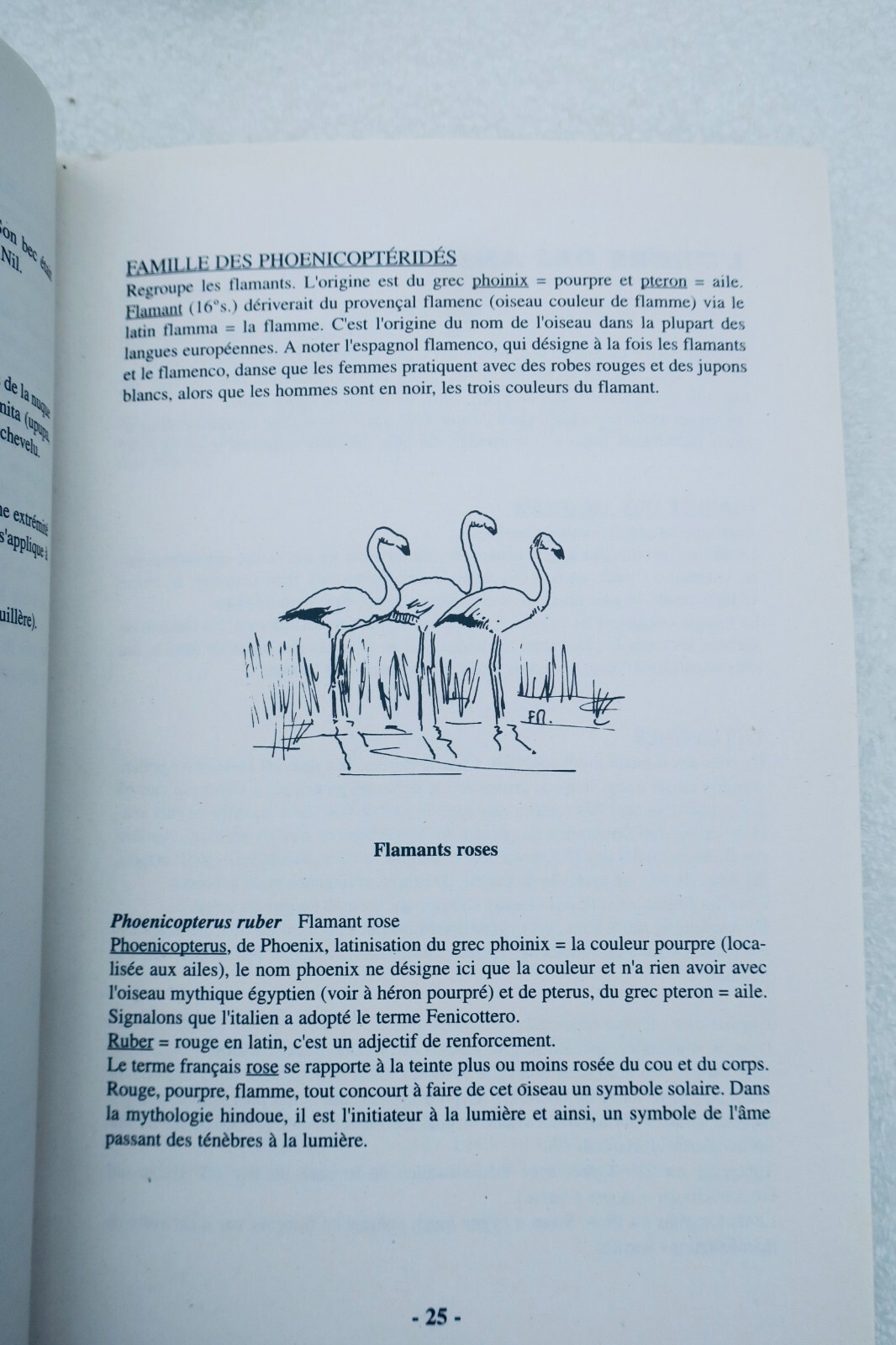 ヨーロッパの鳥名の語源<span class="lla-card-orig-wrap"><span class="lla-card-orig">❦ Oiseau étymologie des noms d’oiseaux</span></span> - La Librairie Antique