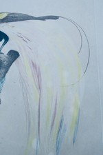 Oiseau Le petit oiseau de paradis Emeraude mâle – Image 4