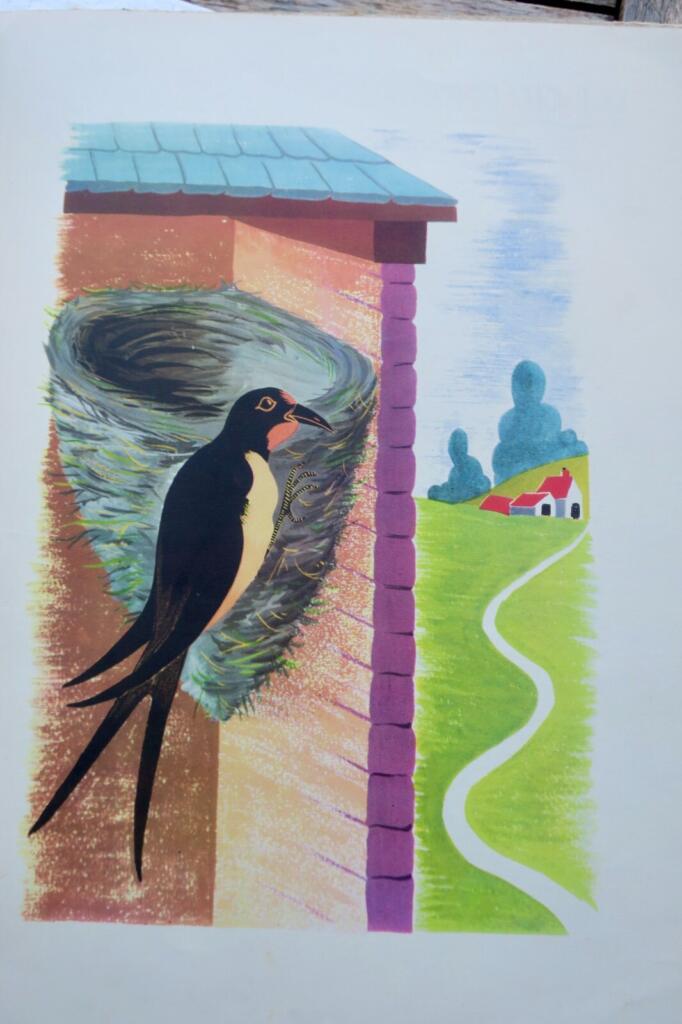 Birds and Their Nests
