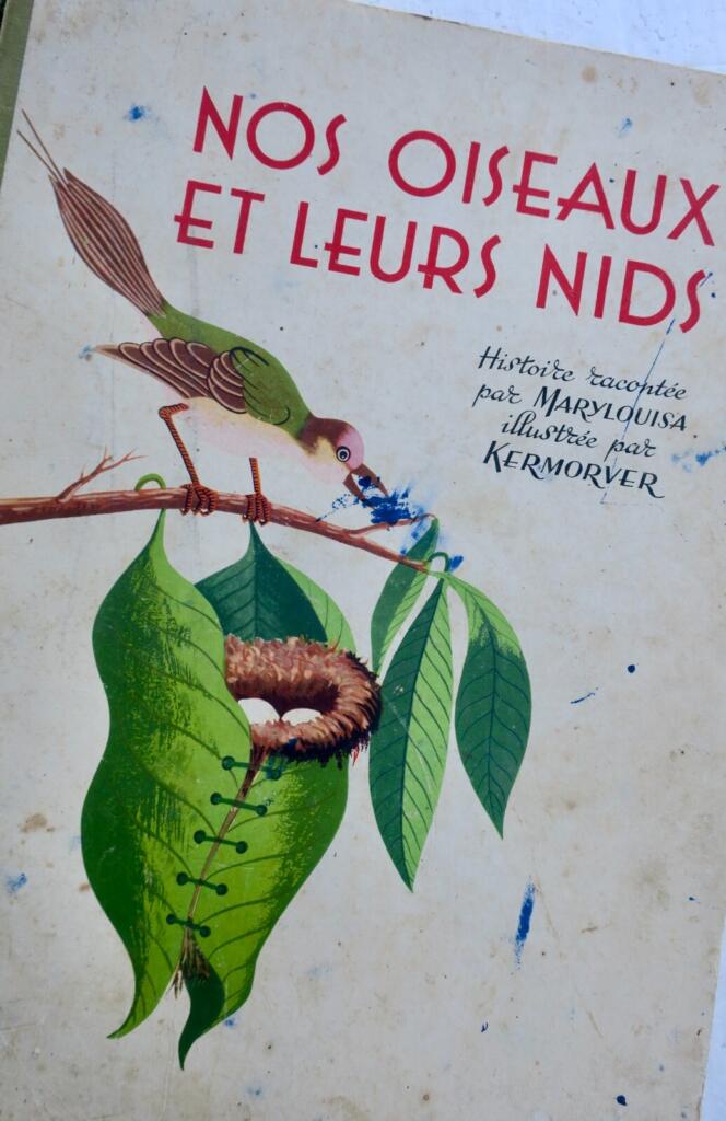 Birds and Their Nests