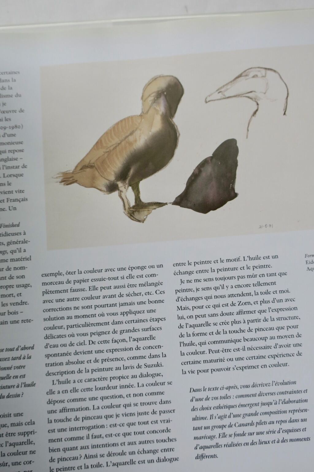 Licht und Vögel: Eine nordische ornithologische Studie