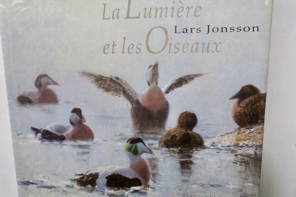 Light and Birds: Ornithological Study