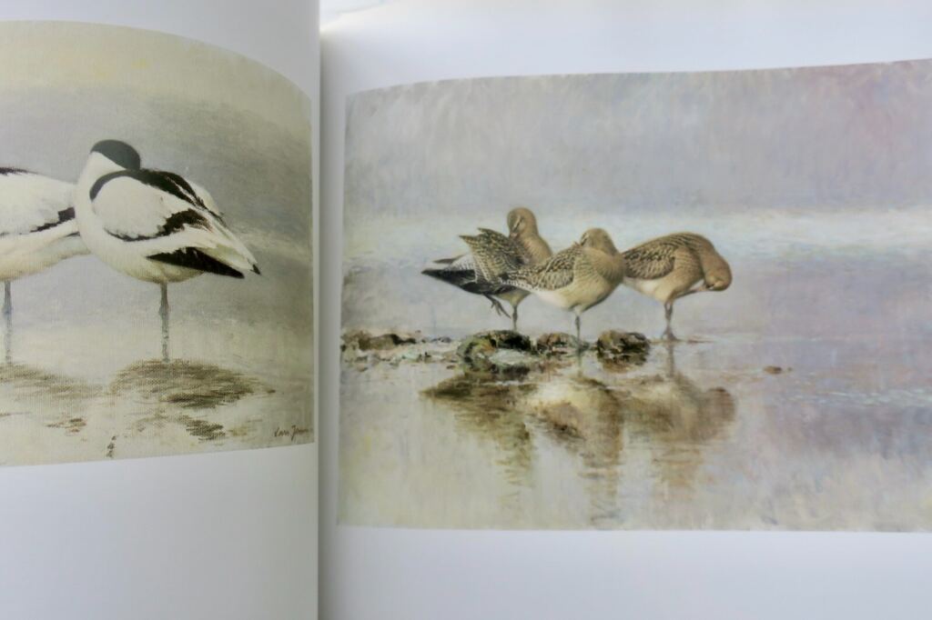 Light and Birds: Ornithological Study