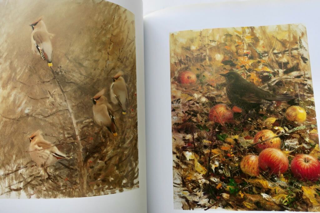 Light and Birds: Ornithological Study