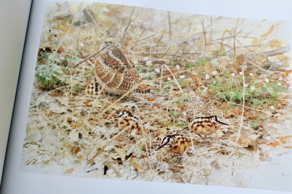 Light and Birds: Ornithological Study
