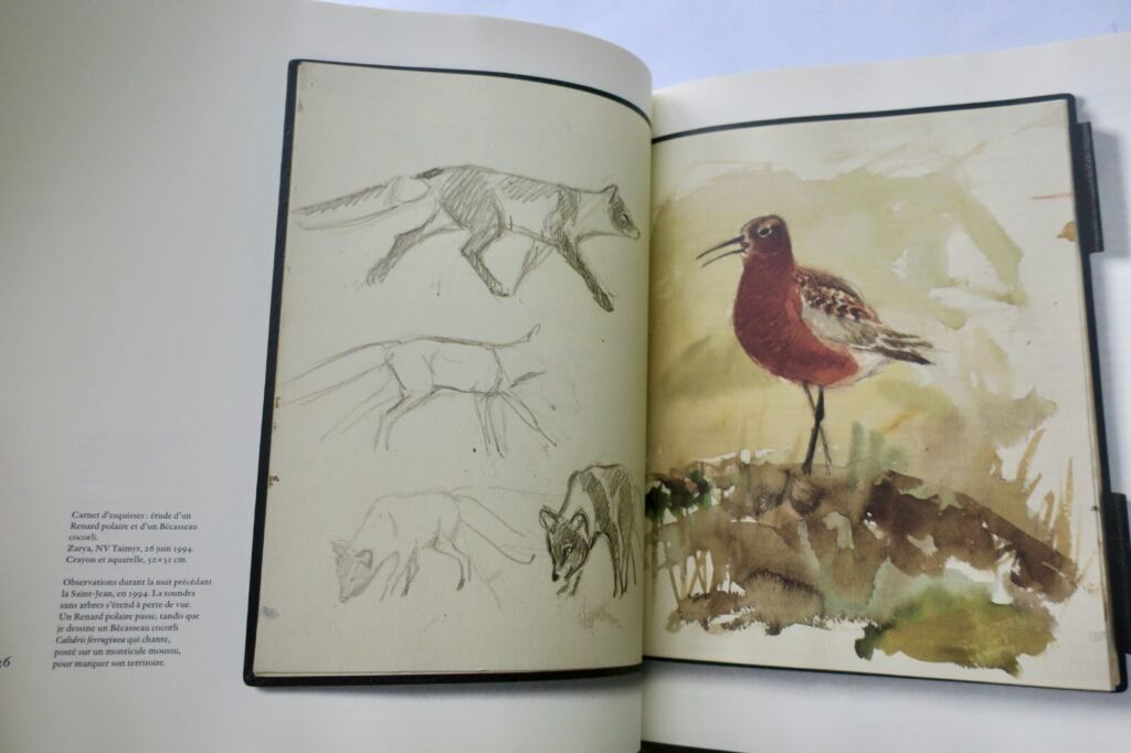 Licht und Vögel: Eine nordische ornithologische Studie