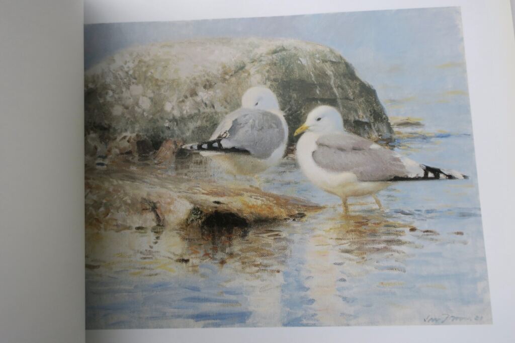 Light and Birds: Ornithological Study