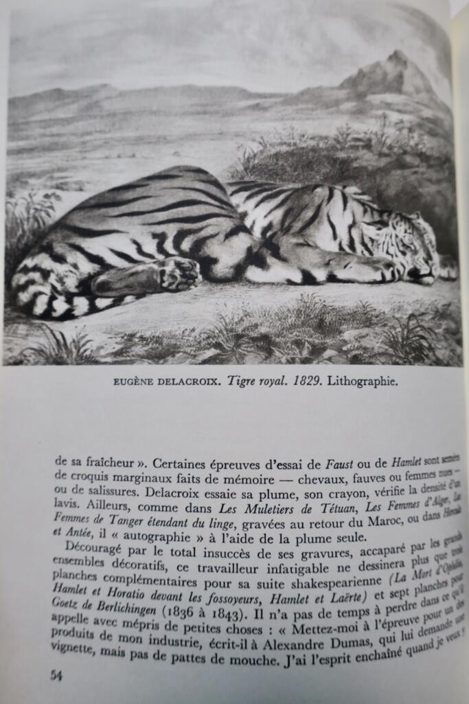 Original 19th Century Engraving Study