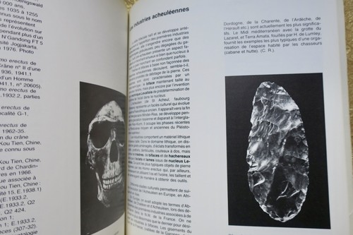 Überblick über die Ausstellung Ursprünge des Menschen<span class="lla-card-orig-wrap"><span class="lla-card-orig">❦ Origines de l’Homme. MUSEE DE L’HOMME. 1976</span></span> - La Librairie Antique