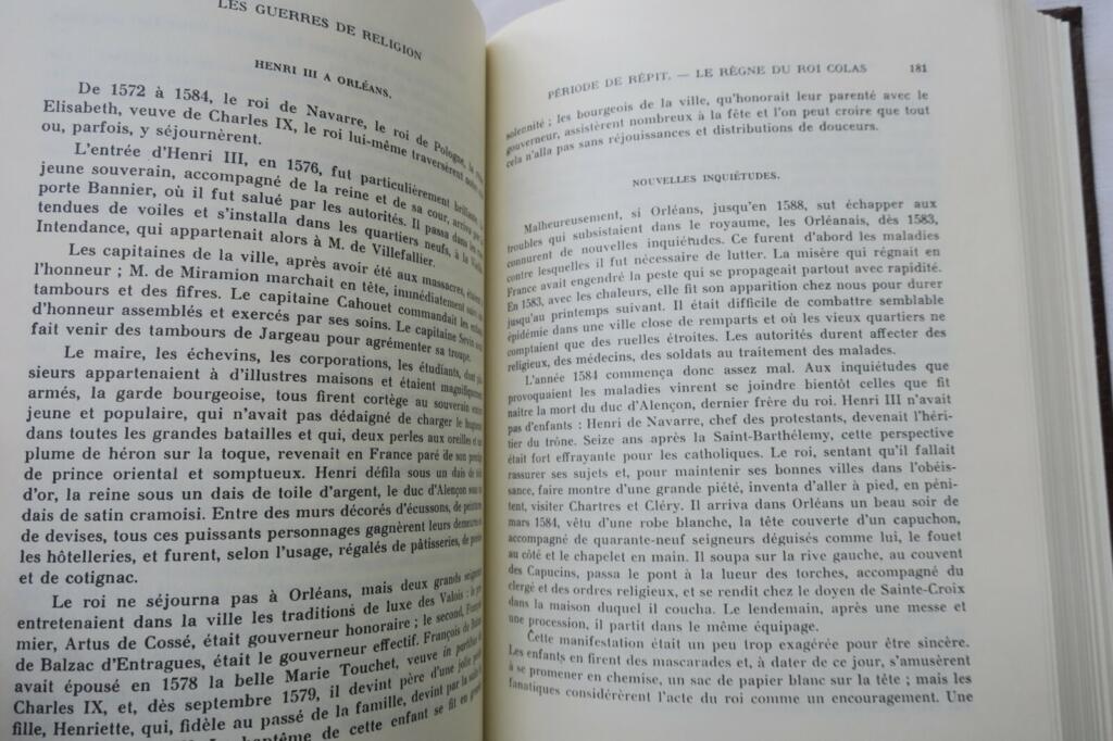 Orléans: Die Geschichte einer Stadt